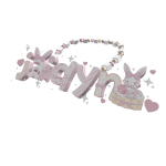jaidyn necklace 3.0