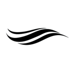 Wave lnc.