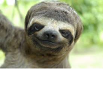 ODD SLOTH UNITED