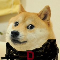 doges and owners HQ