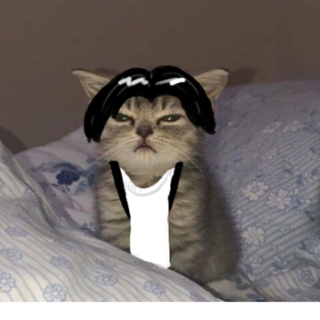 Kucing