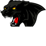 Crazy Cat Gaming Fan Group