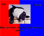 Animal Cruelty Defenders