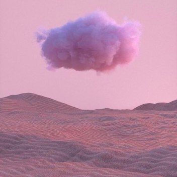 the pink outdoors