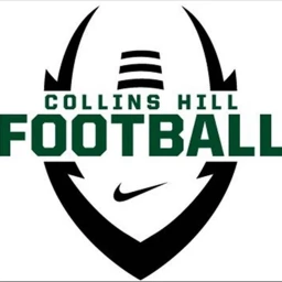 ###### #### football field icon
