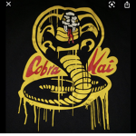 C0BRA KAl karate
