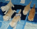 BRUH JUST GROUP >:(