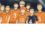 Karasu Volleyball Team