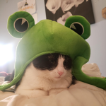 がま