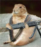 kill all noobs!!!!