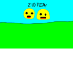 ZidTeam