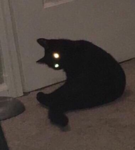 rangerangehaha