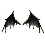 Awaken Wings