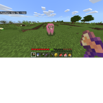 this is a awesome server