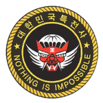 AAㅣ9th Airborne Special Forces Brigade