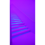 *-Freaks-*