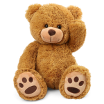 The Bear Gang Squad of Besties