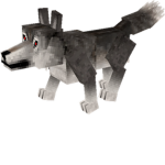 Majestic Wolves