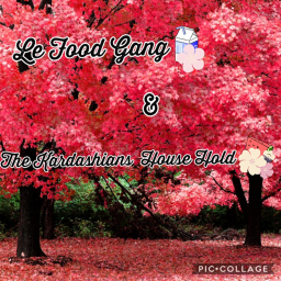 ~ Collaborating with Le Food Gang ~  [Read Desc]