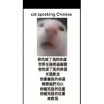 邪恶之眼