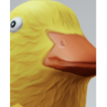 Land of lots of ducky’s