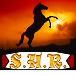 Sunset horse ranch