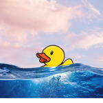 THE DUCKY CLAN :D