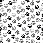 Pet studio!