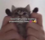 POOKIE BEARSS <33