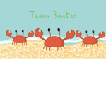 Team B A X T E R
