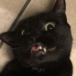 ★