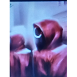 Squid game rp (fan game)