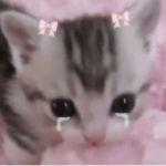 kittylace