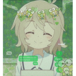 iikeroppi Fan Group
