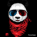 The Group Of Pandas