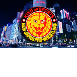 New Japan Pro Wrestling Arena
