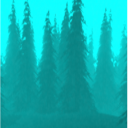 Pădure Forest