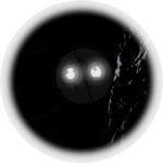 Unknown Eyes