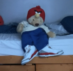 Zero’s sloths