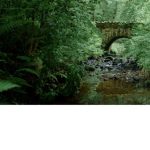 Natures ways