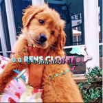 ʚ ɞ rens closet ʚ ɞ