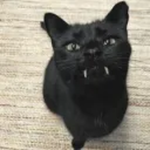 SMNDR