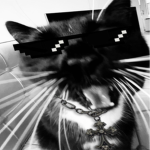 misry