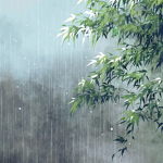 Raini.