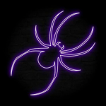 Spidercommunity
