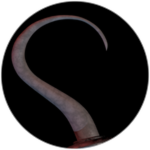 [OLD]Secret Character 11