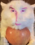 The kawiii cinnamonrolls
