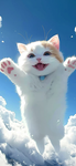 The cat group 123789