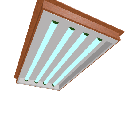 Fluorescent Ceiling Lights