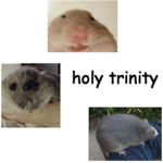 chunky rat cult